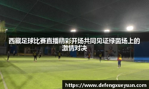 乐鱼电竞官网