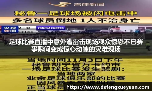 乐鱼电竞官网